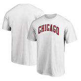 NBA - Chicago Bulls Alternate Logo T-Shirt - White