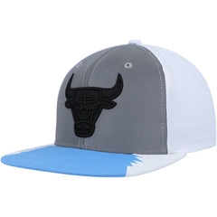 Mitchell & Ness - Chicago Bulls Day 5 Snapback Hat - Silver/Blue