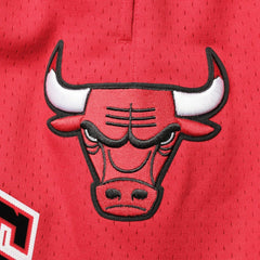 NBA - Chicago Bulls Pro Standard Mesh Capsule Shorts - Red