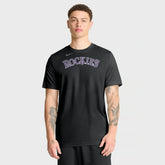 Colorado Rockies Nike New Legend Wordmark Dri-FIT T-Shirt for sale