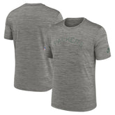 Green Bay Packers 2023 Sideline Alternate Logo Performance T-Shirt Heather Charcoal - Nike