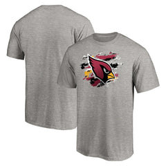 Arizona Cardinals True Color T-Shirt Heather Gray - NFL