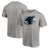 Carolina Panthers True Color T-Shirt Heather Gray - NFL