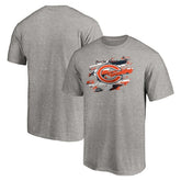Chicago Bears True Color T-Shirt Heather Gray - NFL