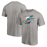 Miami Dolphins True Color T-Shirt Heather Gray - NFL