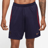 Nike Paris Saint-Germain 2023/24 Strike Performance Shorts - Navy