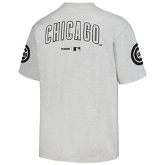Chicago Cubs PLEASURES Team T-Shirt Lifestyle