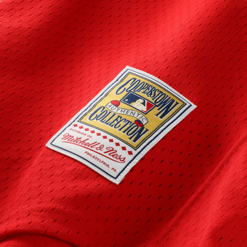 Dale Murphy Atlanta Braves Mitchell & Ness Authentic Batting Practice Jersey - Scarlet | MLB Jerseys