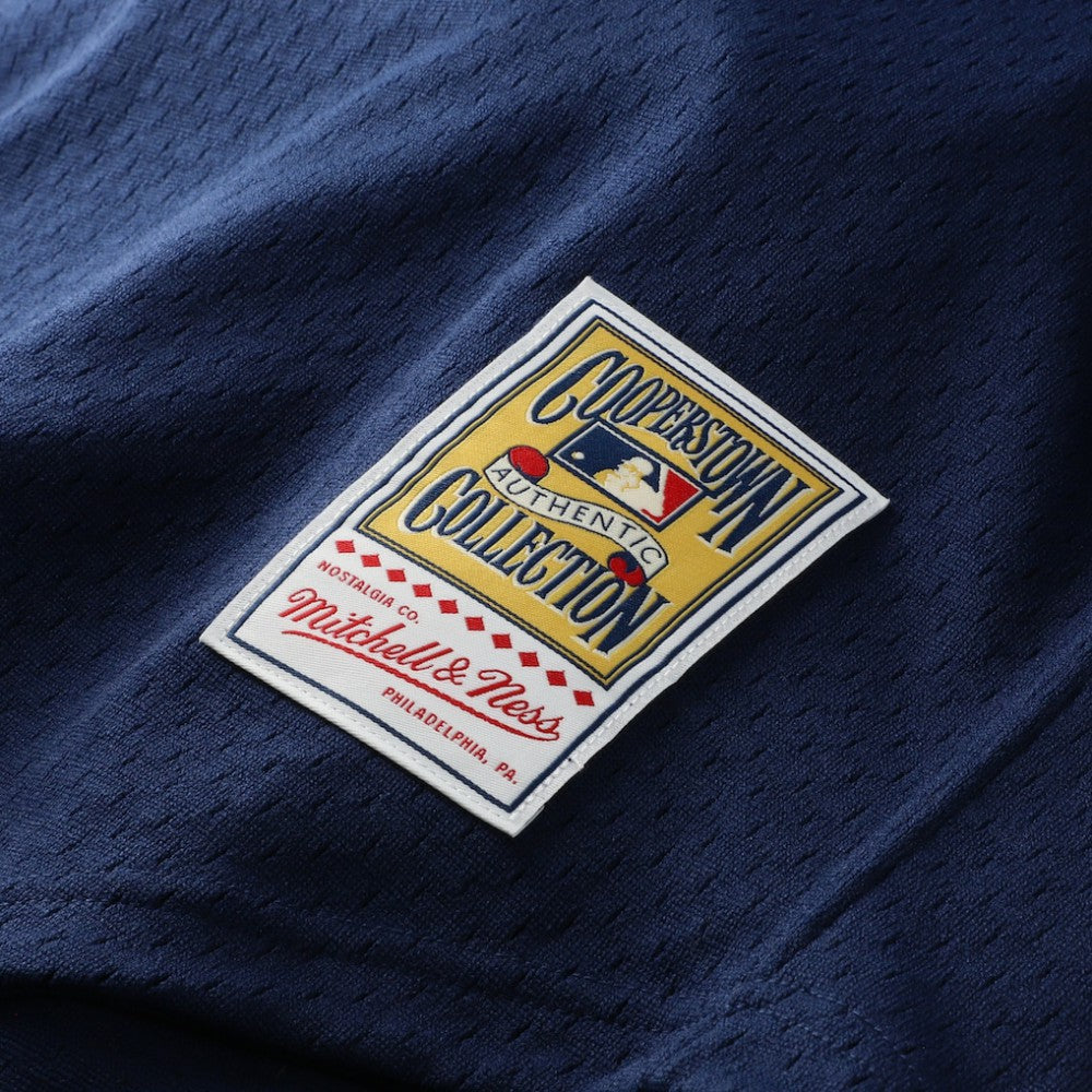 Craig Biggio Houston Astros Mitchell & Ness Authentic Batting Practice Jersey - Navy | MLB Jerseys