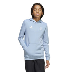 2025-26 Argentina Youth Anniversary DNA Soccer Hoodie | Adidas Sale