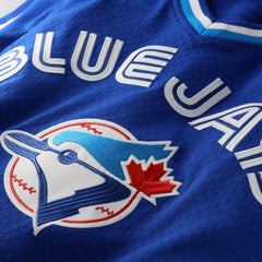 Joe Carter Toronto Blue Jays Mitchell & Ness Authentic Batting Practice Jersey Clearance