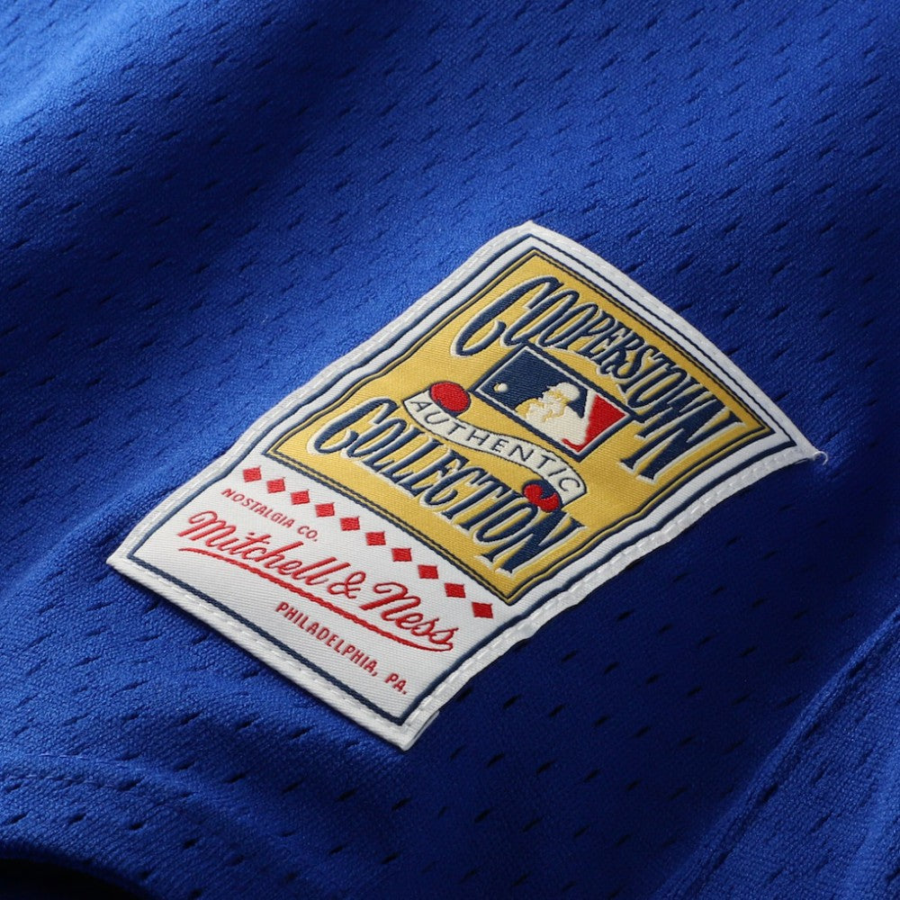 Joe Carter Toronto Blue Jays Mitchell & Ness Authentic Batting Practice Jersey Clearance