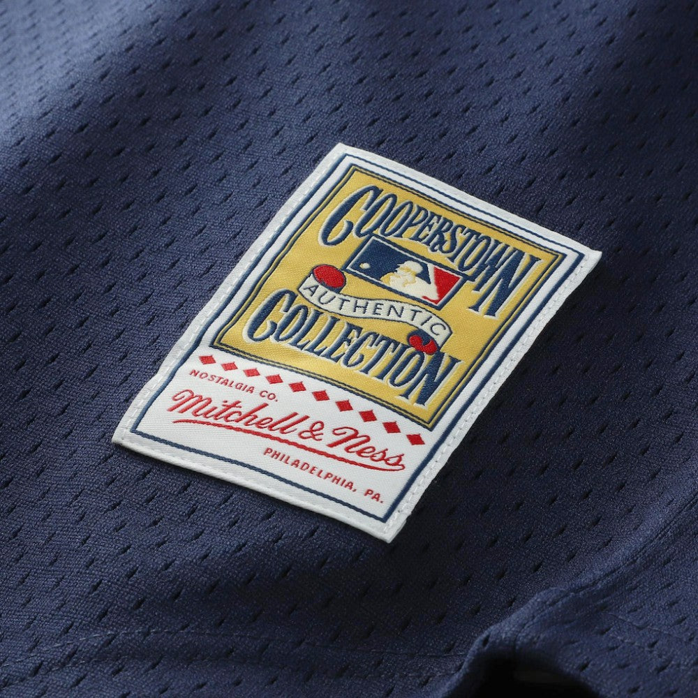 Kirby Puckett Minnesota Twins Mitchell & Ness Authentic Batting Practice Jersey Online