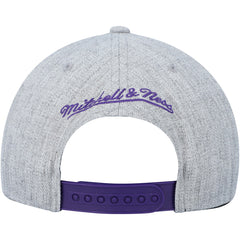 Mitchell & Ness - Toronto Raptors Hardwood Classics 2.0 Snapback Hat - Heather Gray