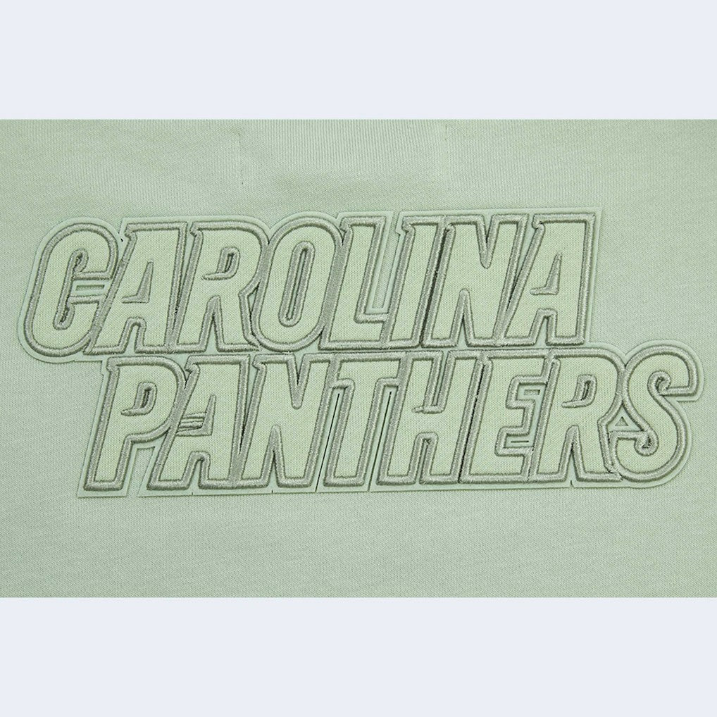 Carolina Panthers Pro Standard Women's Oversized Cropped Neutral Pullover Sweatshirt Light Green - NFL
