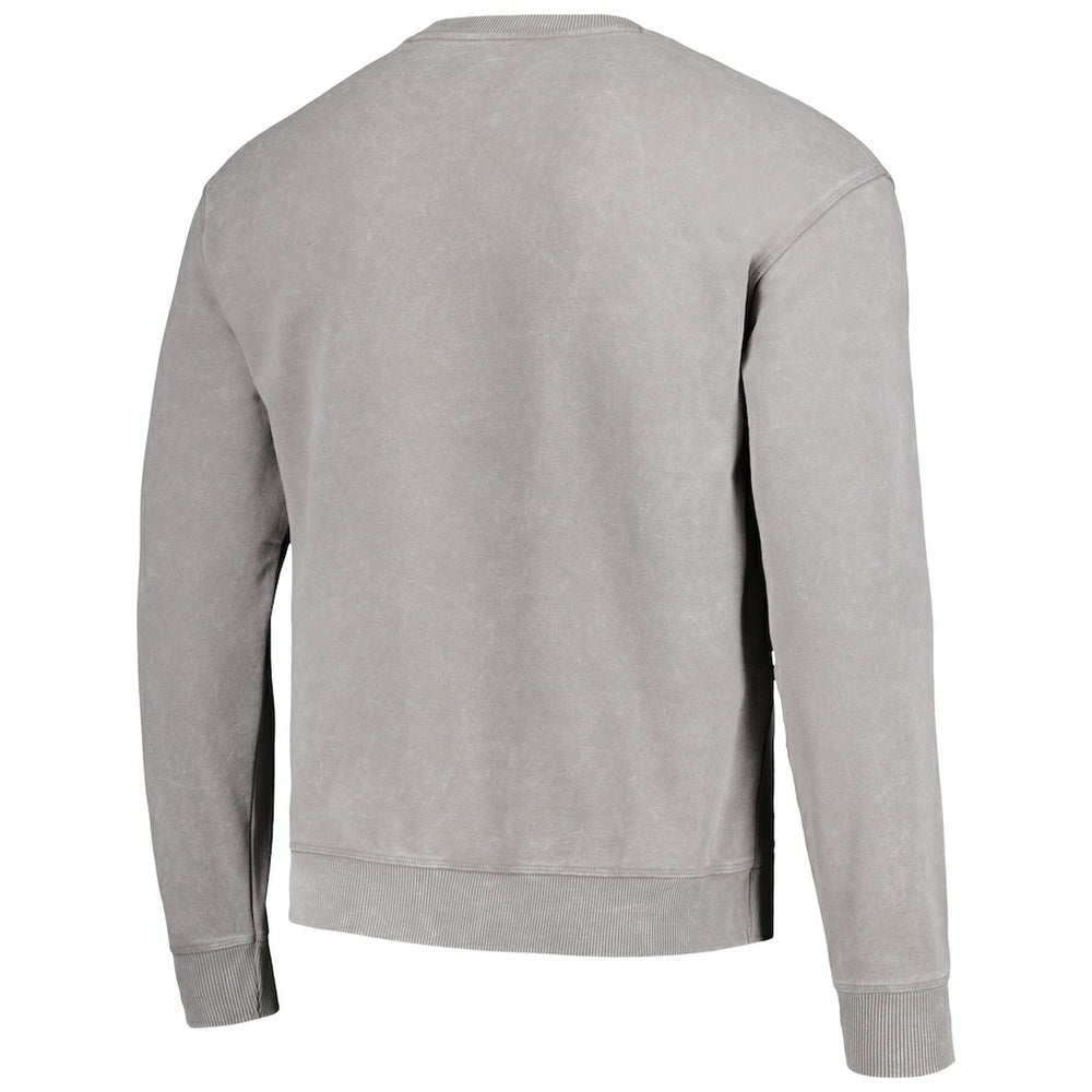 Carolina Panthers The Wild Collective Unisex Distressed Pullover Sweatshirt Gray - NFL