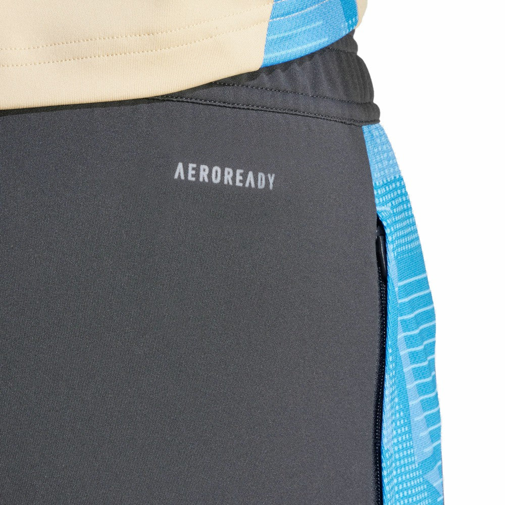 Adidas Argentina National Team 2024 AEROREADY Training Pants - Gray