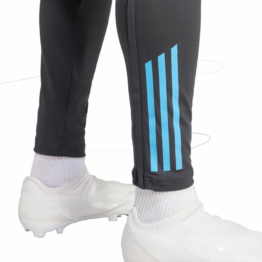 Adidas Argentina National Team 2024 AEROREADY Training Pants - Gray