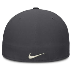 Houston Astros Nike Dri-FIT True Fitted Hat discount
