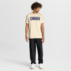 Chicago Cubs Nike Swoosh Legend Dri-FIT T-Shirt for sale
