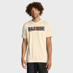 Baltimore Orioles Nike Swoosh Legend Dri-FIT T-Shirt Sale