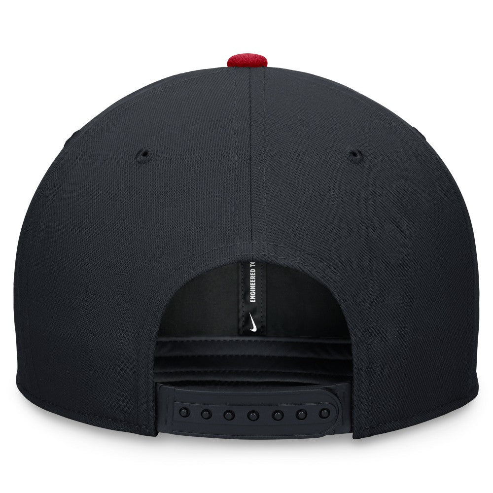 Minnesota Twins Nike Two-Tone Snapback Hat Online