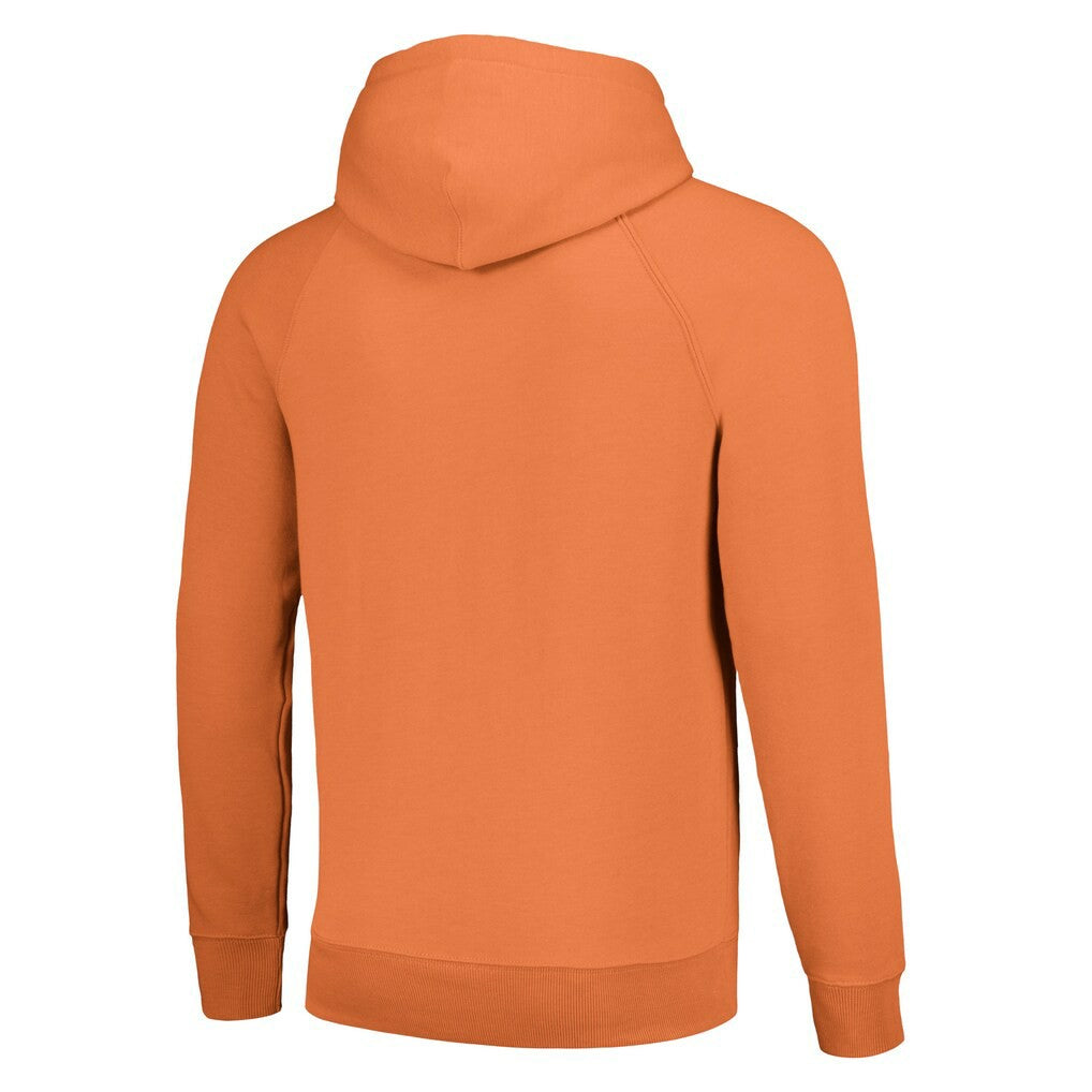Miami Dolphins Homage Unisex NFL x Guy Fieri’s Flavortown Tri-Blend Pullover Hoodie Gray - NFL