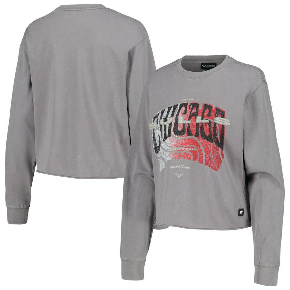 NBA - Chicago Bulls The Wild Collective Women's Band Cropped Long Sleeve T-Shirt - Gray