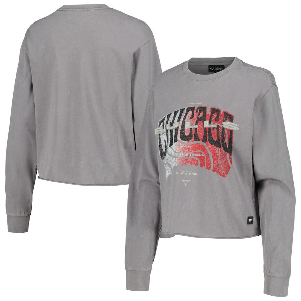 NBA - Chicago Bulls The Wild Collective Women's Band Cropped Long Sleeve T-Shirt - Gray