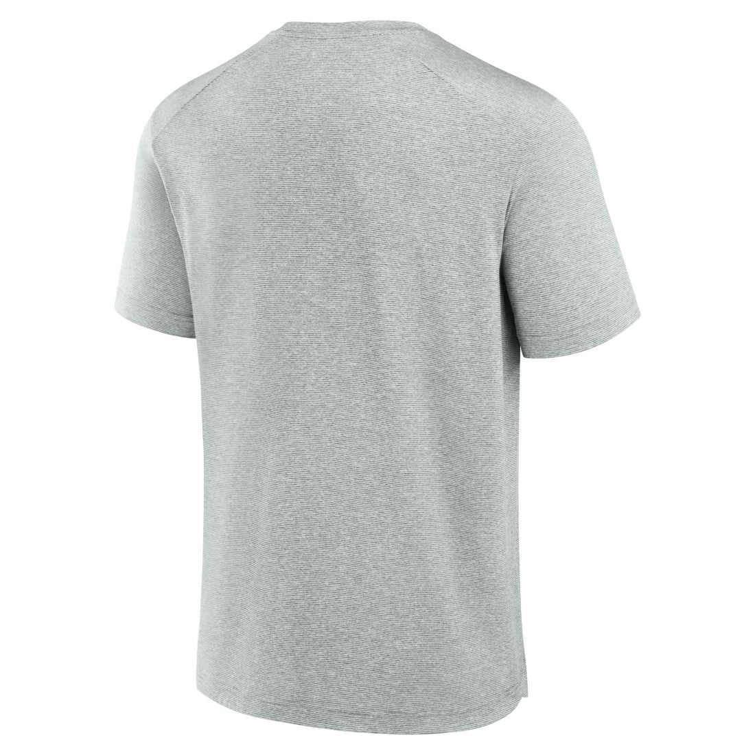 Tampa Bay Buccaneers Front Office Tech T-Shirt Gray - Fanatics
