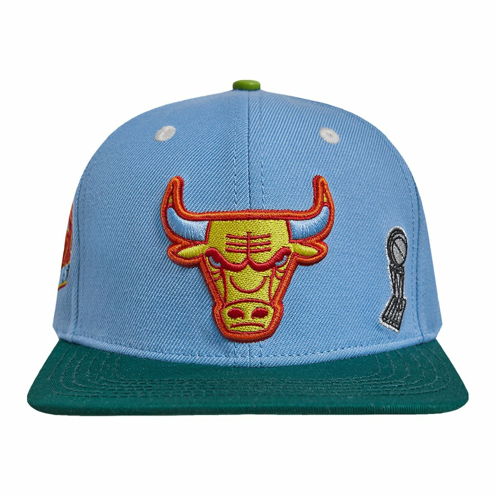 NBA - Chicago Bulls Pro Standard Retro Program 2-Tone Snapback Hat - Light Blue/Green