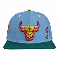 NBA - Chicago Bulls Pro Standard Retro Program 2-Tone Snapback Hat - Light Blue/Green