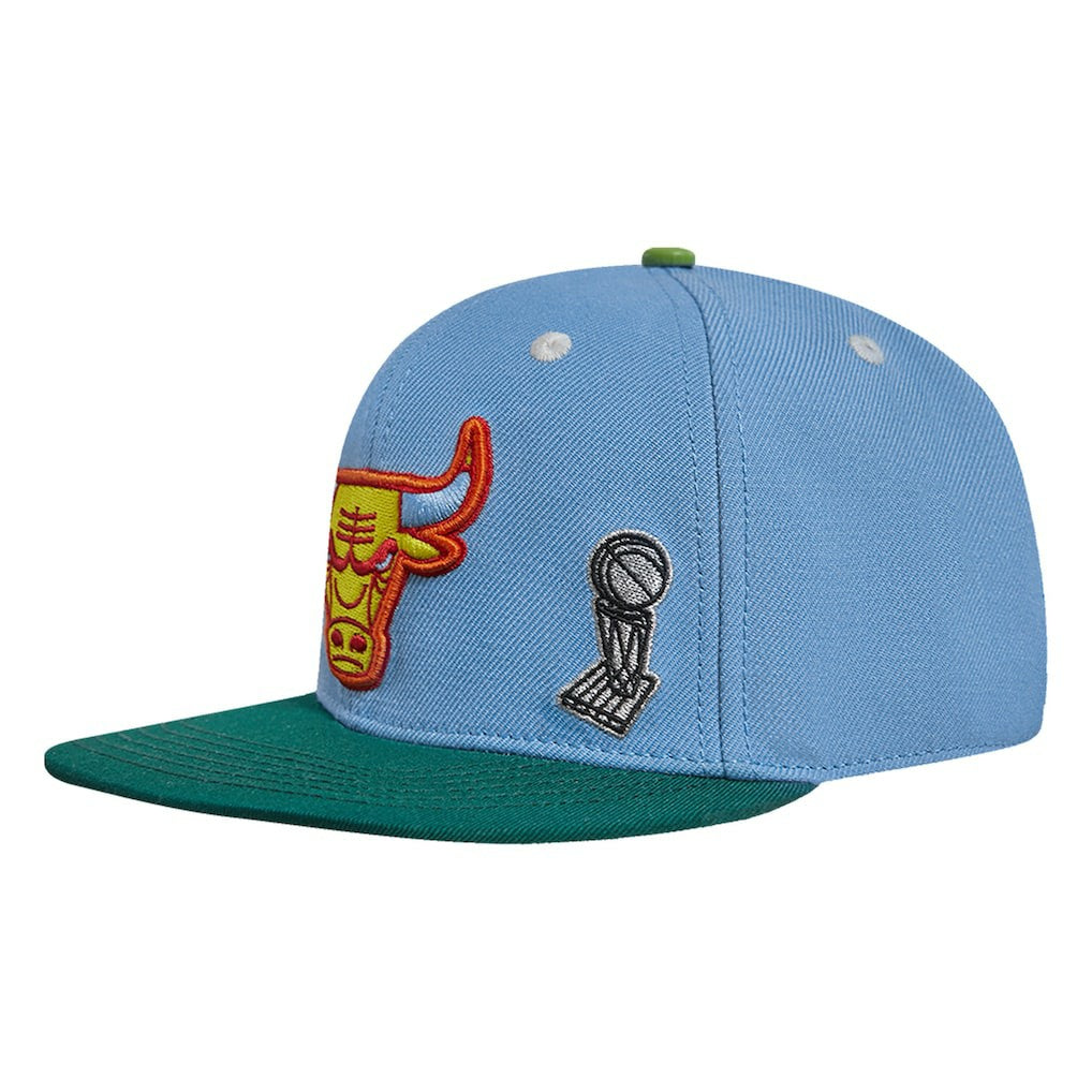 NBA - Chicago Bulls Pro Standard Retro Program 2-Tone Snapback Hat - Light Blue/Green