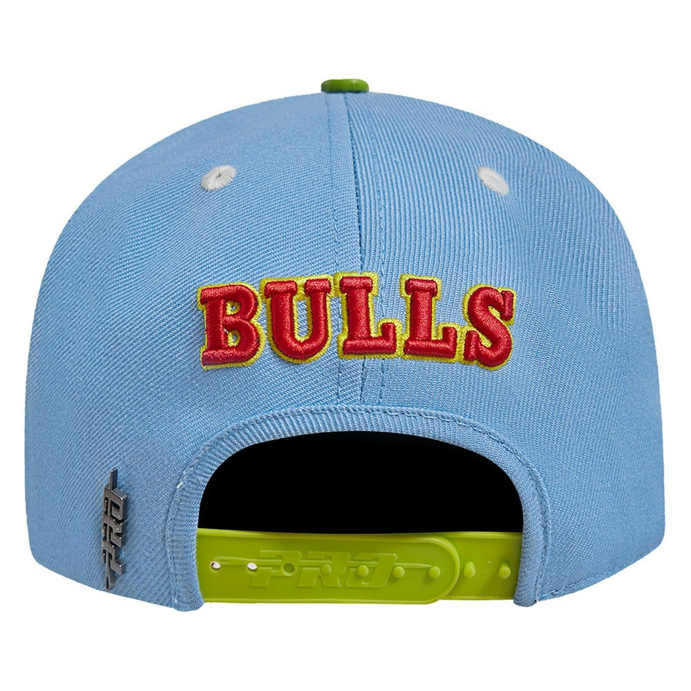 NBA - Chicago Bulls Pro Standard Retro Program 2-Tone Snapback Hat - Light Blue/Green