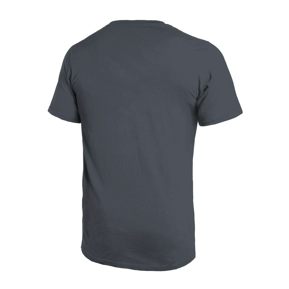 Atlanta Falcons Majestic Threads Sundays Skyline T-Shirt Gray - NFL