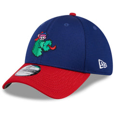 Philadelphia Phillies New Era 2025 Batting Practice 39THIRTY Flex Hat Lifestyle