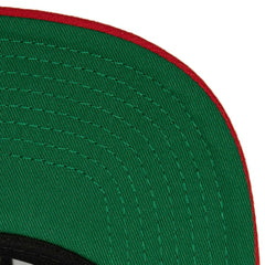 Florida Panthers - Mitchell & Ness Core Team Ground 2.0 Snapback Hat Navy
