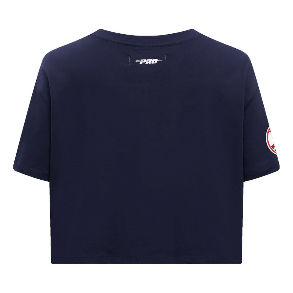 Boston Red Sox Pro Standard Women's Painted Sky Boxy Cropped T-Shirt Online