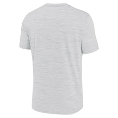 Baltimore Ravens Blitz Velocity Modern Dri-FIT T-Shirt Ash - Nike