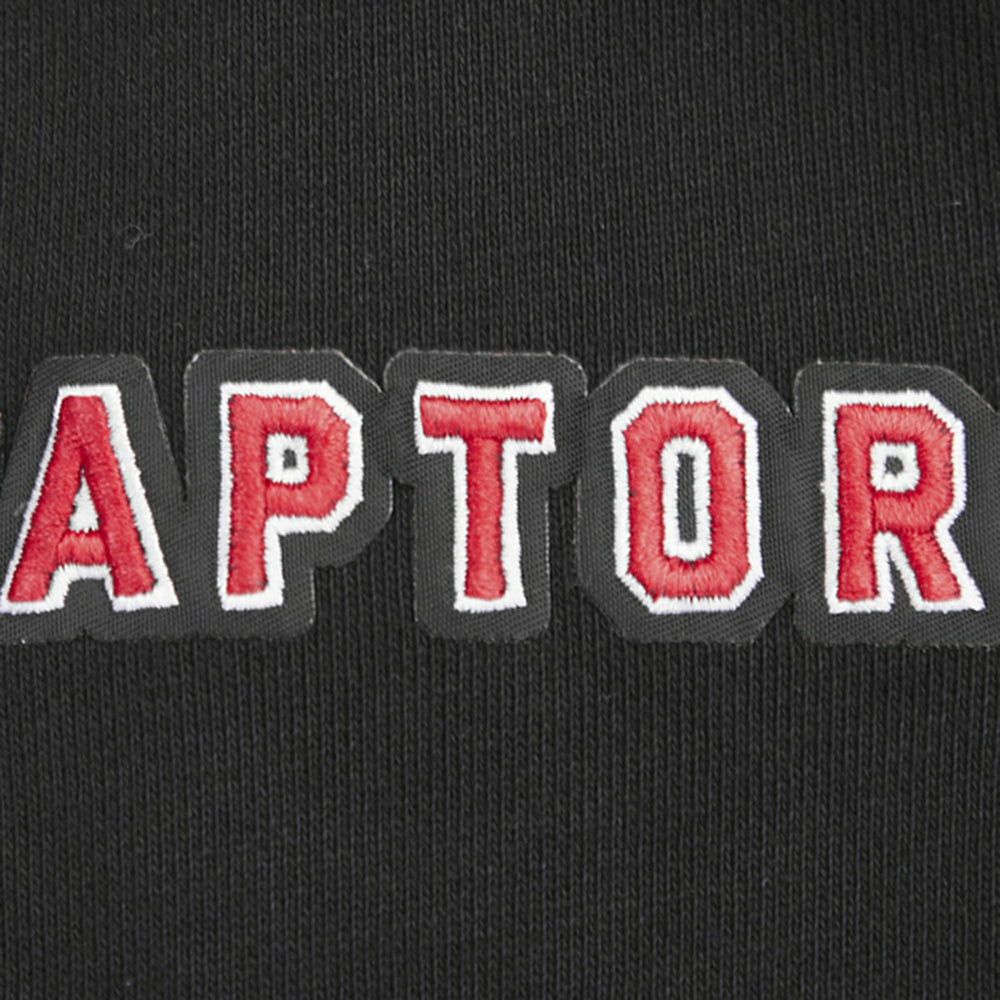 NBA - Toronto Raptors Pro Standard Script Tail Pullover Hoodie - Black