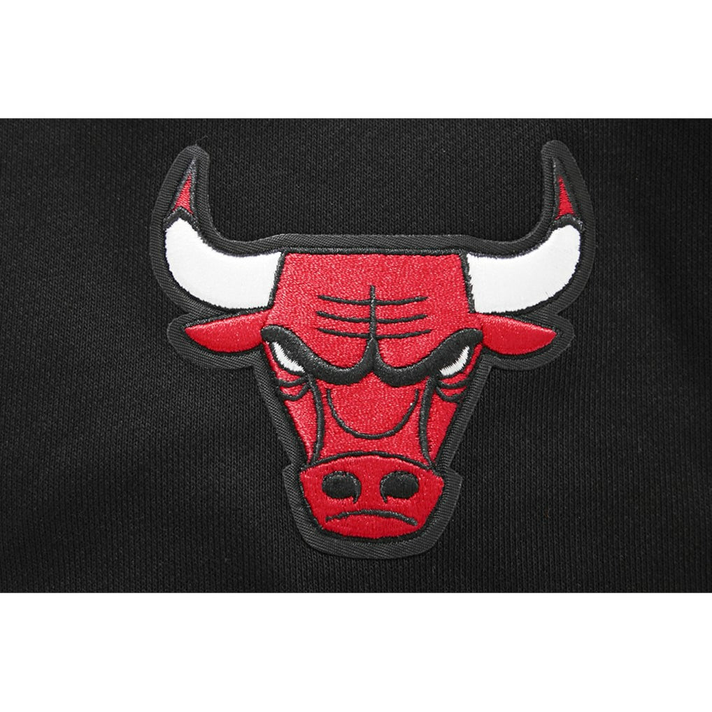NBA - Chicago Bulls Pro Standard Women's 2023/24 City Edition Cropped Pullover Hoodie - Black