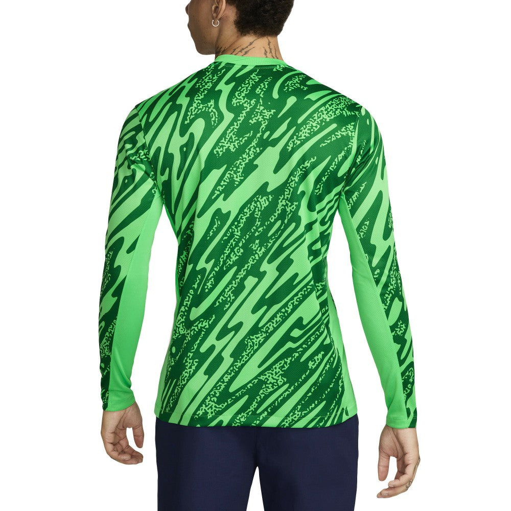 Nike Paris Saint-Germain 2024/25 Goalkeeper Replica Stadium Long Sleeve Jerseys - Green