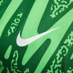 Nike Paris Saint-Germain 2024/25 Goalkeeper Replica Stadium Long Sleeve Jerseys - Green