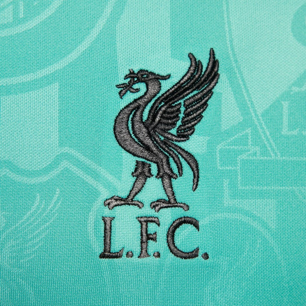 Nike Liverpool 2024/25 Academy Pro Pre-Match Top - Teal