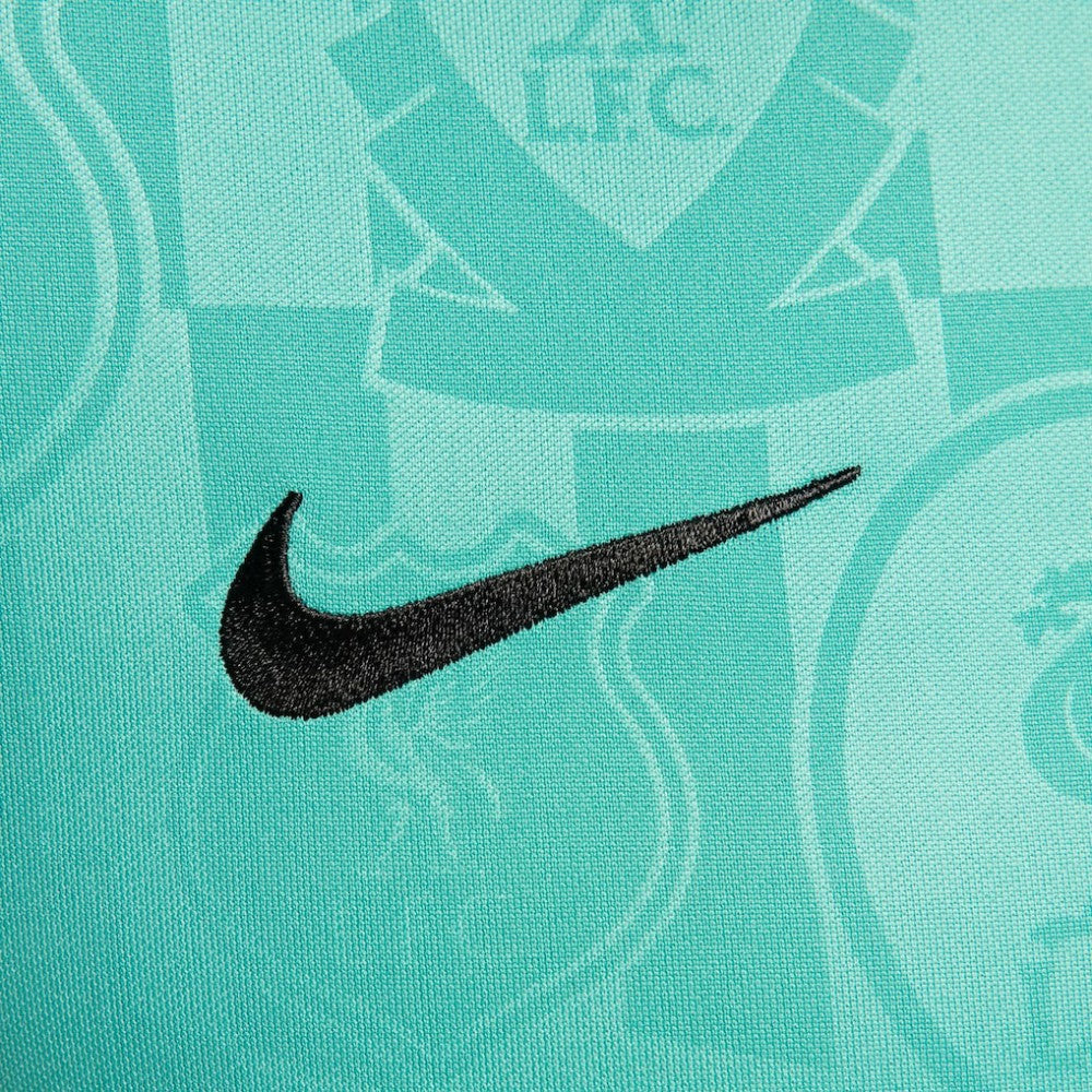 Nike Liverpool 2024/25 Academy Pro Pre-Match Top - Teal