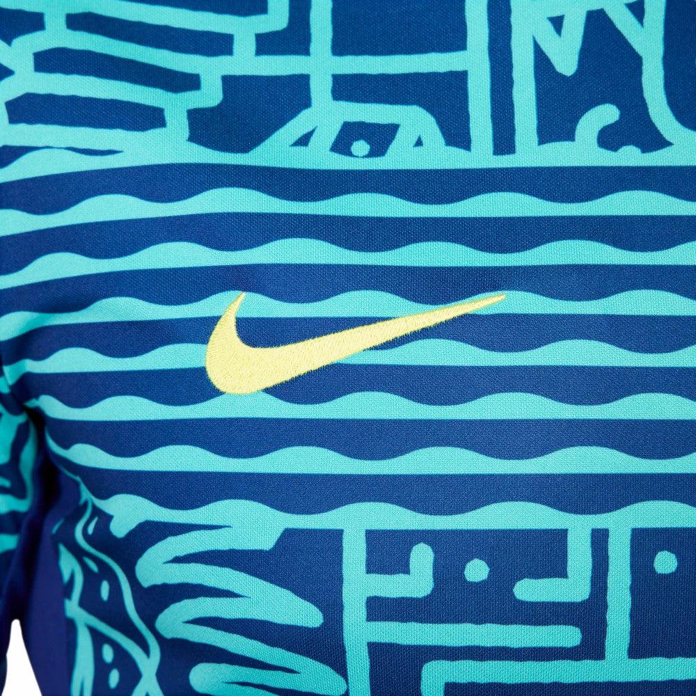 Nike Brazil National Team 2024 Academy Pro Pre-Match Top - Blue