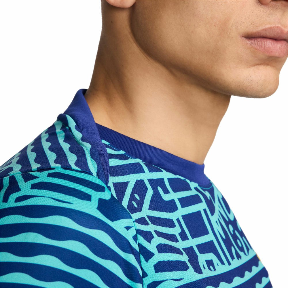 Nike Brazil National Team 2024 Academy Pro Pre-Match Top - Blue