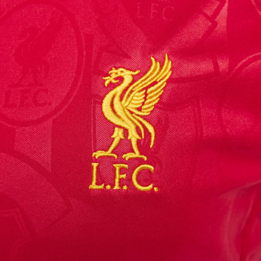 Nike Liverpool Women's 2024/25 Academy Pro Pre-Match Top - Red