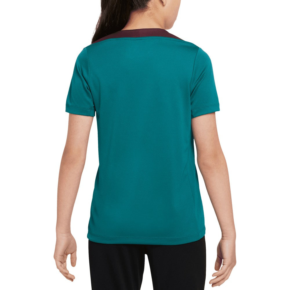 Nike Paris Saint-Germain Youth 2024/25 Strike Training Top - Teal
