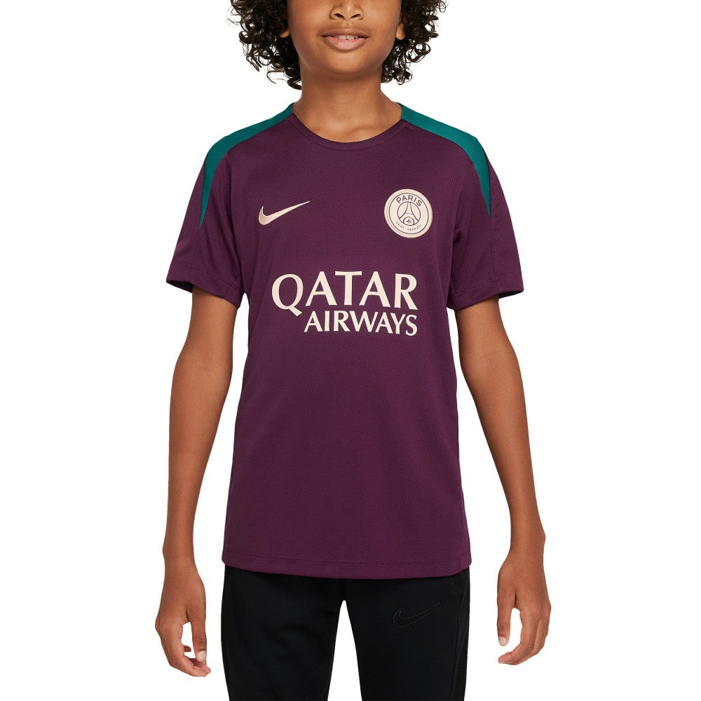 Nike Paris Saint-Germain Youth 2024/25 Strike Training Performance Top - Burgundy
